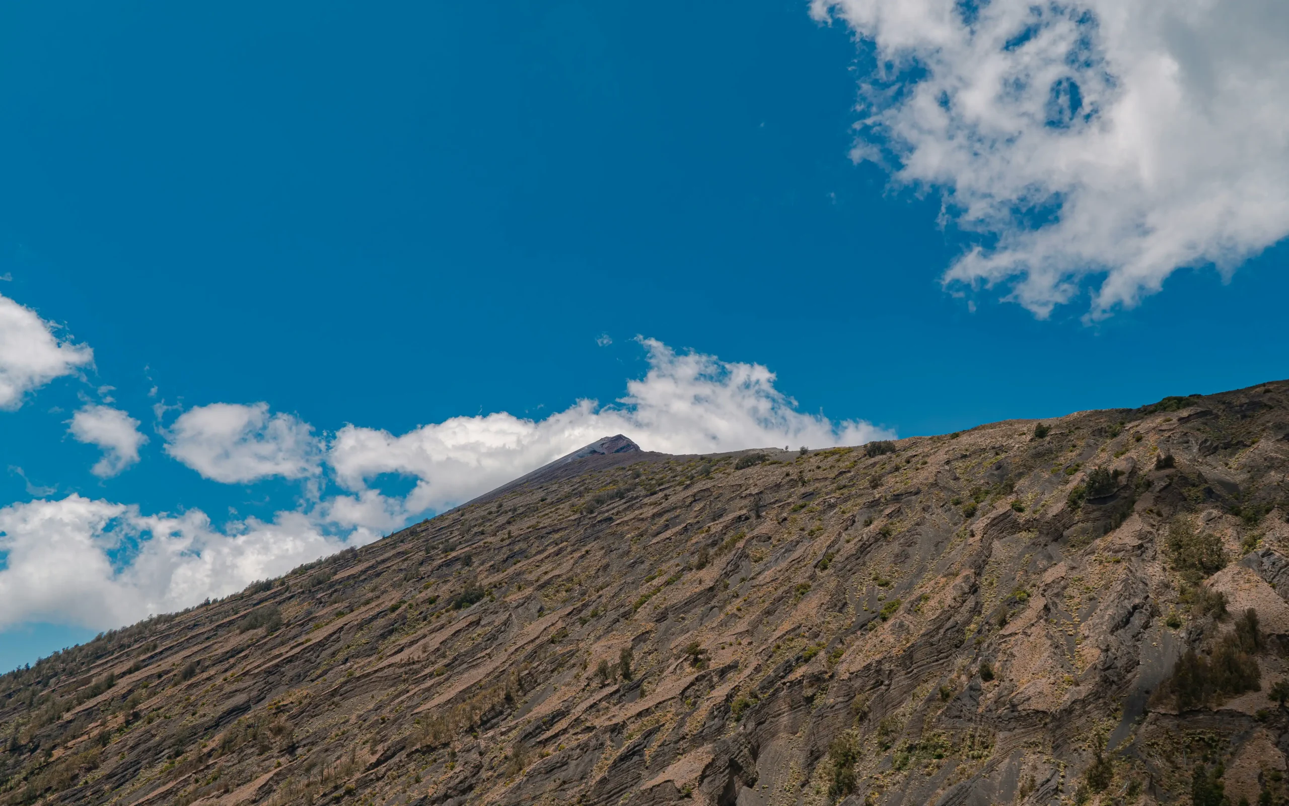 fahrul-razi-gNHmb_7Tubo-unsplash (1)-new