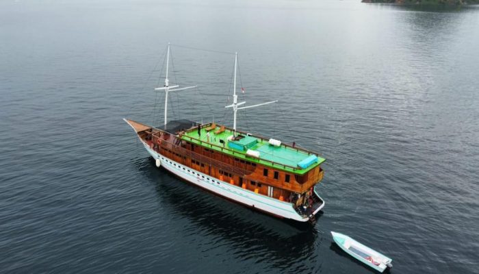 WhatsApp Image 2025-11-25 at 19.43.09 (1)