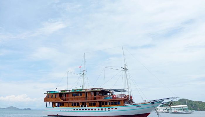 WhatsApp Image 2025-11-25 at 19.43.09