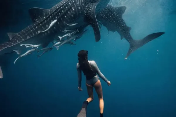 c6af34e6aec21366d84162f05caa08bd-new