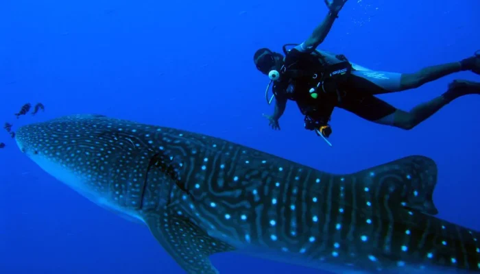 f3648bbeae408681bebce72283248d90-new